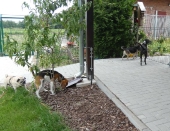 Pension_2