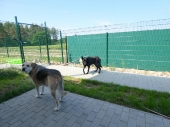 Pension_31