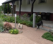 Pension_31