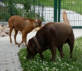 Pension_41