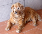 Pension_48