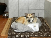 Pension_4