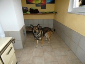 Pension_63