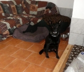 Pension_7