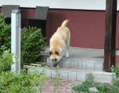 Pension_10