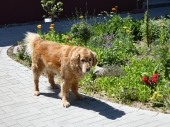 Pension_10