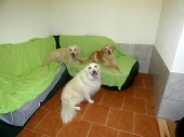 Pension_10