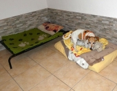Pension_13