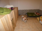 Pension_14