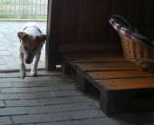 Pension_15