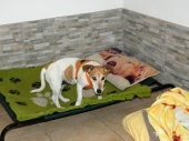 Pension_16