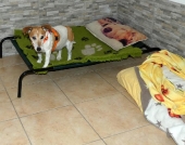 Pension_17