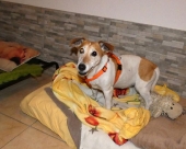 Pension_1