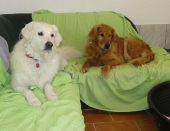 Pension_1