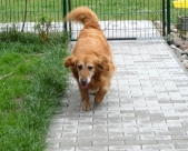 Pension_20