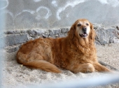 Pension_21