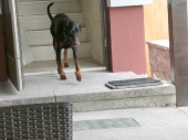 Pension_21