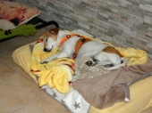 Pension_21