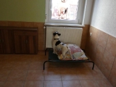 Pension_23