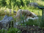 Pension_23
