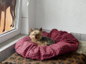 Pension_23