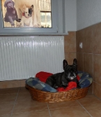 Pension_24