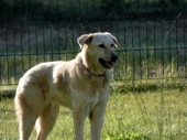 Pension_25