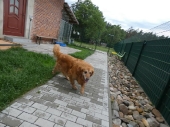 Pension_25