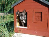 Pension_26