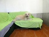 Pension_27