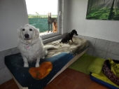 Pension_27