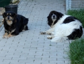 Pension_28