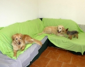 Pension_28