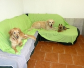Pension_29