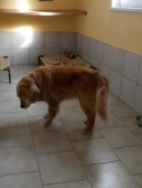 Pension_2