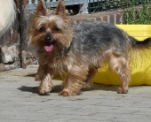 Pension_2