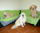 Pension_2