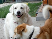 Pension_2