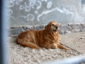 Pension_36