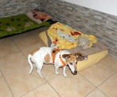 Pension_38