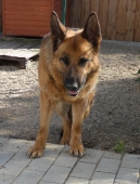 Pension_38