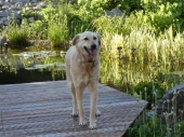 Pension_3