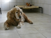 Pension_3
