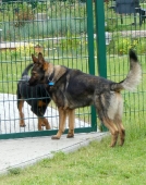 Pension_45