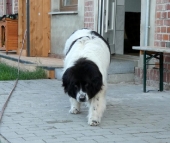 Pension_4