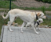 Pension_4