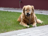 Pension_5