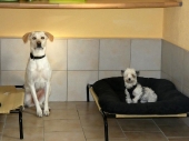 Pension_5
