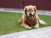 Pension_6