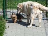 Pension_7